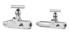Screwed Bonnet Needle Valves Gauge